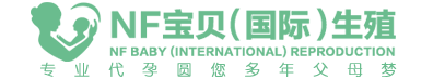 智库博客